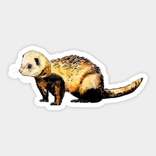 ferret Sticker